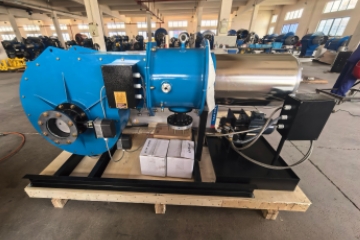 A 3t Oil And Gas Dual-Purpose Low Nitrogen Gas Burner